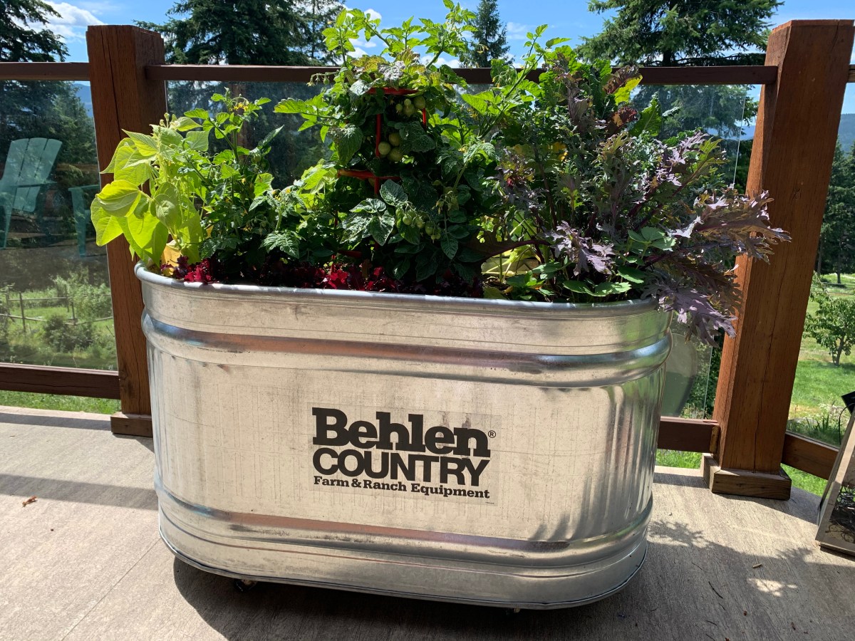 Day Five of Eighty&nbsp;Nine