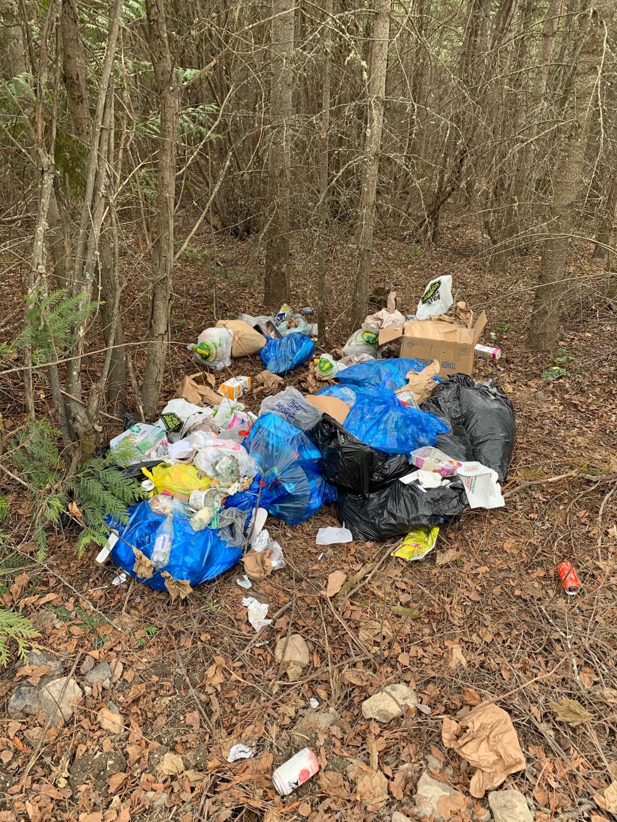 Day Four of Eighty&nbsp;Nine